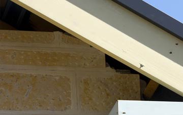soffit repair High Westwood