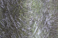 High Westwood fibreglass roof work